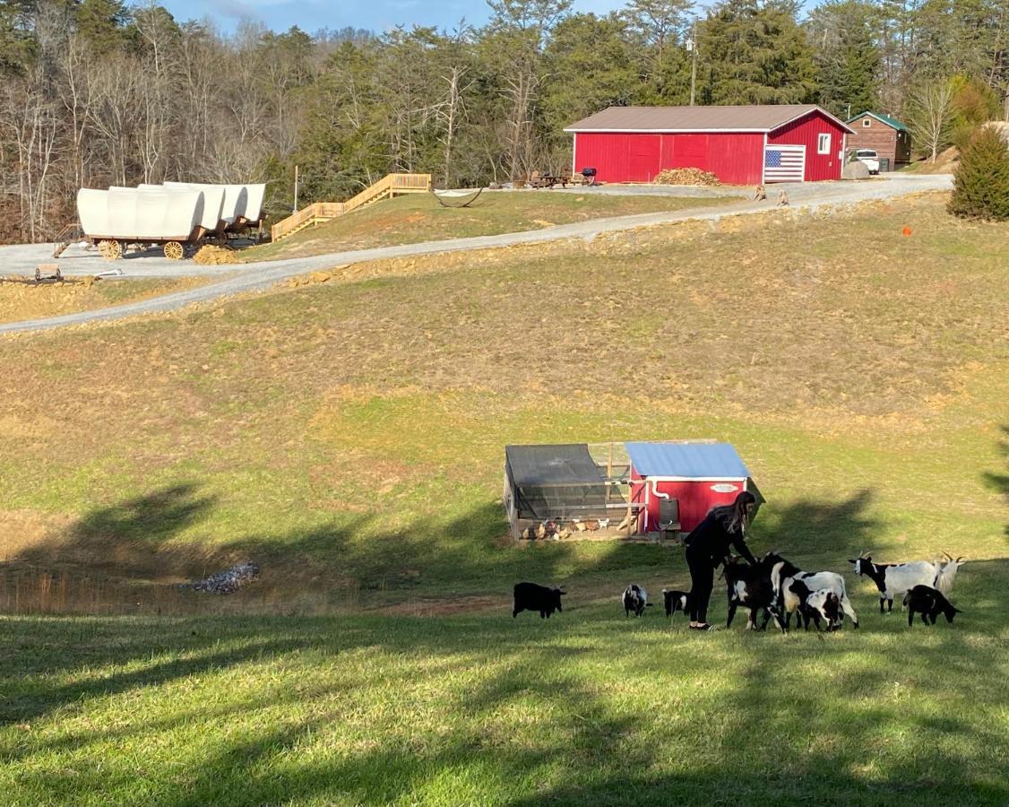 Smoky Hollow Outdoor Resort Covered Wagon セバービル エクステリア 写真